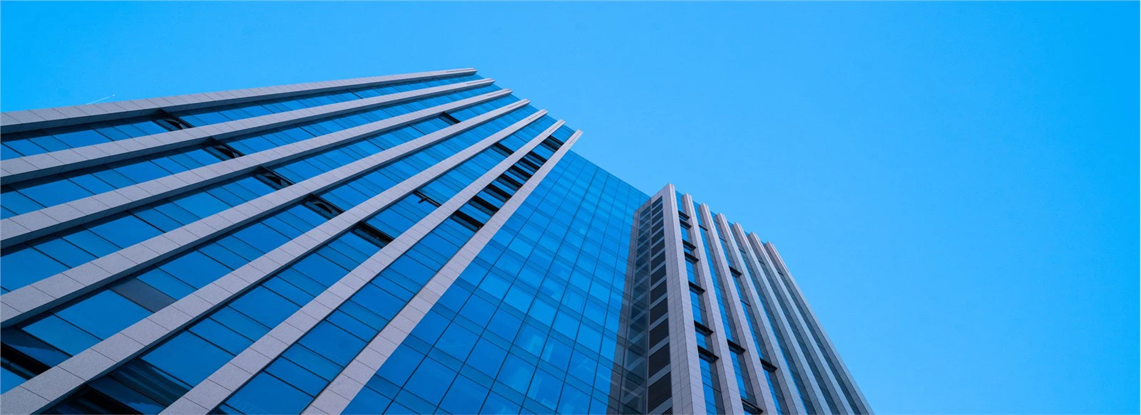 Shandong  Jingqin  Pökkun  Vörur  Co., Ltd